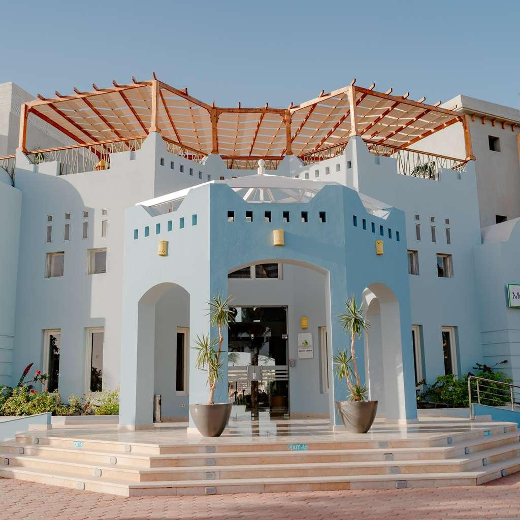 Курортний комплекс Lemon & Soul Makadi Garden (adults Only)